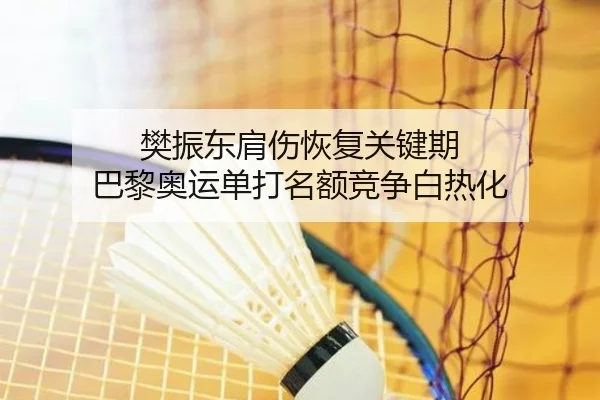 樊振东肩伤恢复关键期 巴黎奥运单打名额竞争白热化